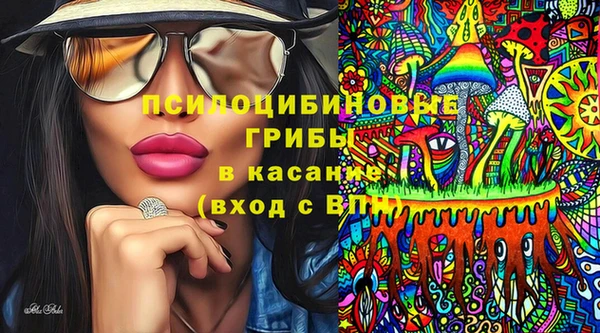 шишки Костерёво