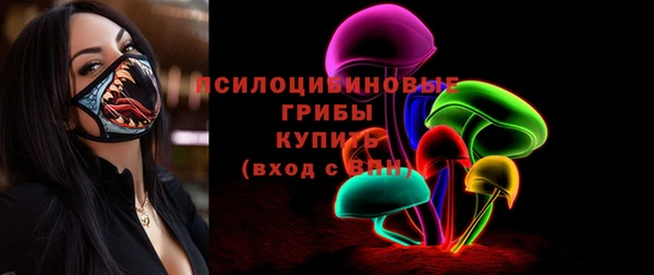 шишки Костерёво