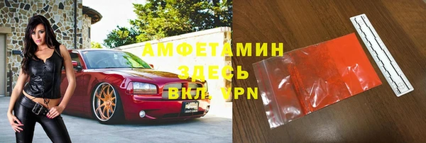 шишки Костерёво